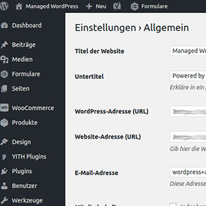 WordPress by SaaS Web - Allgemeine Einstellungen