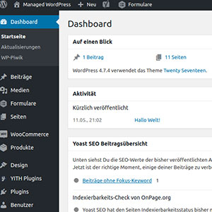WordPress by SaaS Web - Backend Dashboard