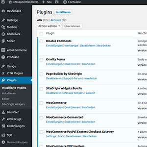 WordPress by SaaS Web - Plugin-Verwaltung