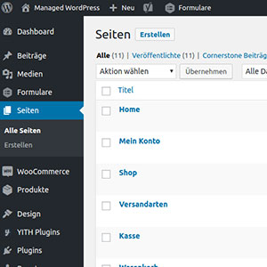 WordPress by SaaS Web - Seitenverwaltung