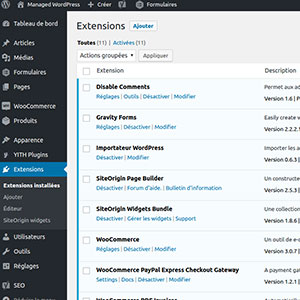 WordPress by SaaS Web - Gestion des extensions