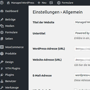 WordPress by SaaS Web - General settings