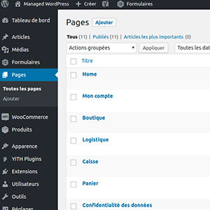 WordPress by SaaS Web - Gestion des pages